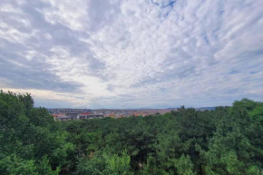 Lovely 2-bedroom Apartment in the City Center